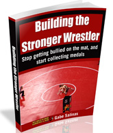 Building the Stronger Wrestler Book